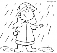 Sortida a les abelles: Previsió de pluja