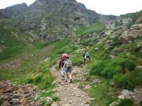 Dossier informatiu i sortida al Montseny