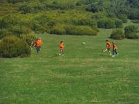 Fotografies excursió al Montseny