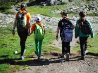 Carta excursió al Bosc Vertical