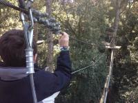 Fotos Bosc Vertical