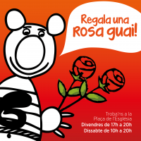 Sant Jordi!