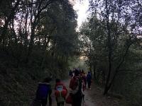 Fotos de les colònies!