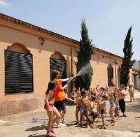 Atenció Mitjans i Minimitjans